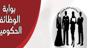 8 هيئات حكومية.. شروط التقديم في فرص التوظيف المتاحة بمرتبات مجزية